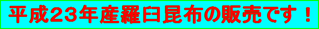 ʿ������ǯ�����山���ۤ�����(����)��