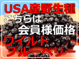 ����Ͳ��ʥɥ饤�֥롼�٥꡼/������