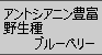 ����ȥ����˥�˭�٤ʣգӣ�������ɥ饤�֥롼�٥꡼