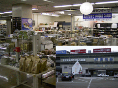 �ܼ�Ź�ޡ��Ⲭ���ơ������ӥ�