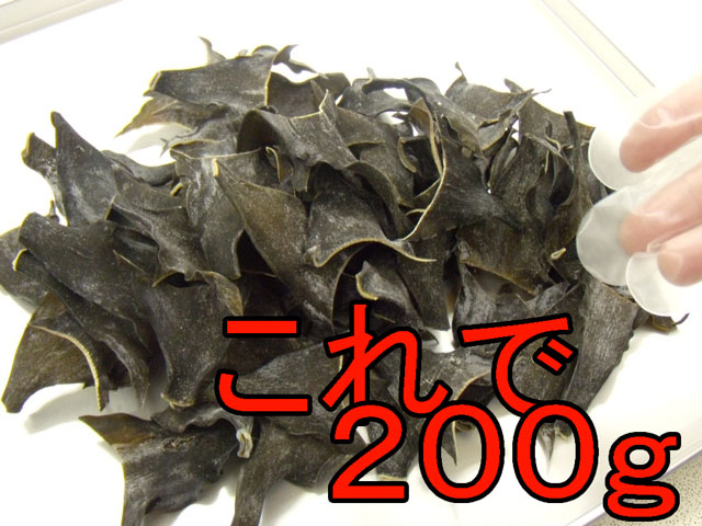 �山���ۤκ�(Ƭ����)