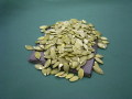 ̵�����ܤ���μ� 1�� (300g) ��¤��Ǥ�� �ٻ�ǵ̣����