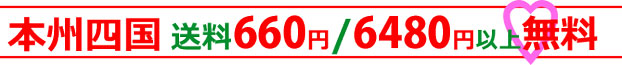 送料無料Xバナーサイズ622-65