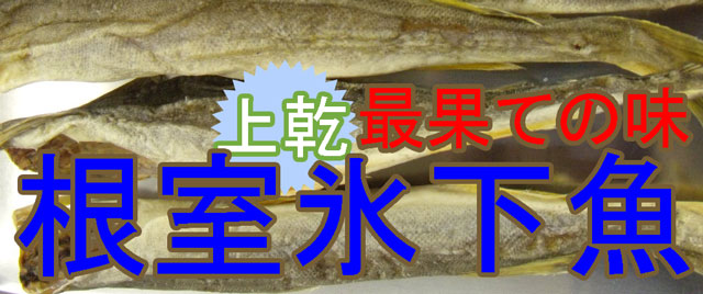 おつまみこまい(氷下魚)