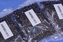 煎り黒豆おまとめアップ画像｜北海道産