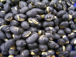 煎り黒豆素焼きタイプ北海道産黒豆