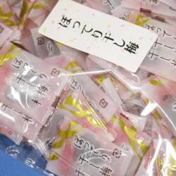 ぽってり干し梅500gパック拡大画像