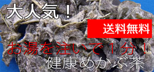目の元気にワイルドブルーベリー/送料無料
