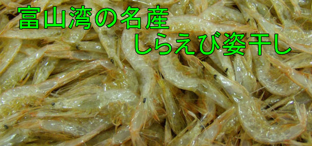 富山のしらえび/富山の名産品